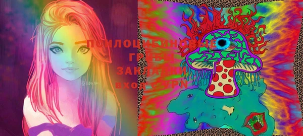 молекула духа Костерёво