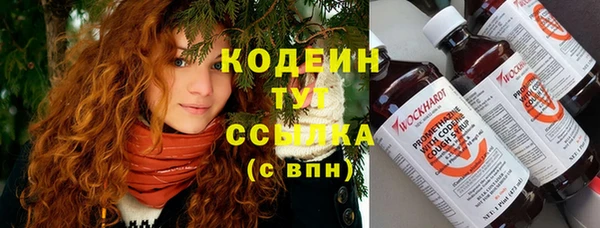 молекула духа Костерёво