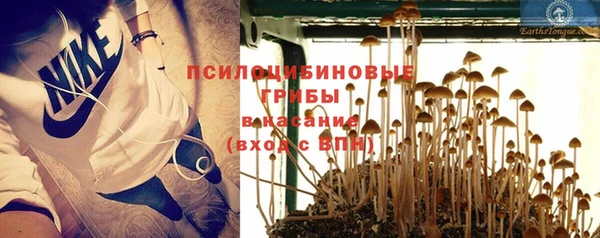 МДПВ Коряжма