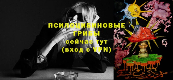 молекула духа Костерёво