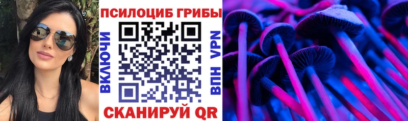 Купить  Кимры  Псилоцибиновые грибы MAGIC MUSHROOMS 